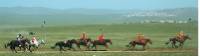 The Nadaam Festival in Mongolia includes events in horse racing, arhery and wrestling. |  <i>Rachel Imber</i>